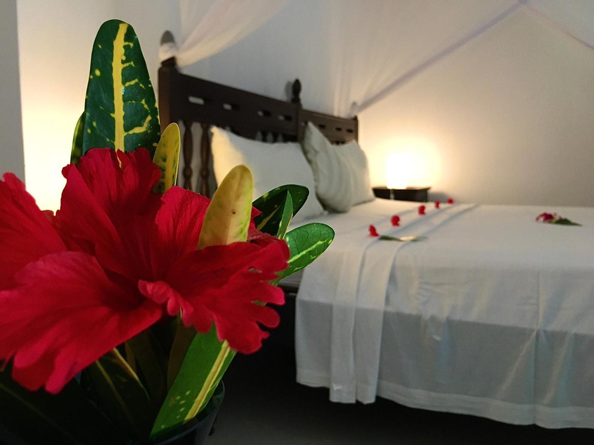 Kibanda Lodge And Beach Club ナングウィ 部屋 写真